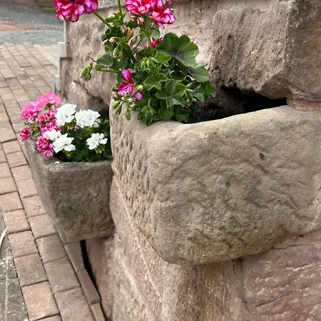 Kleehoeppchen, Im Mit Wellness * Bornhagen