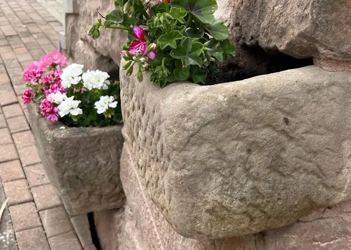 Kleehoeppchen, Im Mit Wellness * Bornhagen